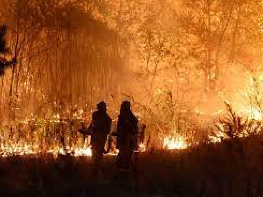 ​На территории Агинского Бурятского округа зарегистрировано 17 ландшафтных пожаров на общей площади 312,66 га.